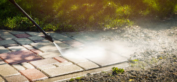 Best Roof Washing  in Buena Vista, CO