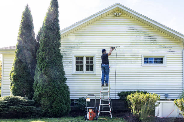 Best Patio and Deck Pressure Washing  in Buena Vista, CO